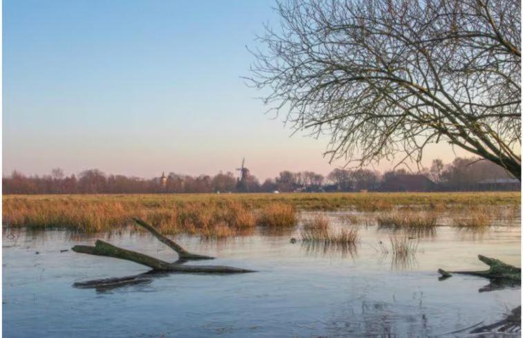 Sari Villa Steendam Dış mekan fotoğraf